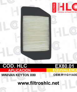 Filtro de aire EX80.01